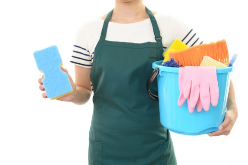 Professional stain treatment for carpets and upholstery in Barnes