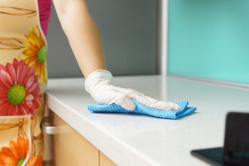 Local Barnes cleaning service for lingering pet smells and stains
