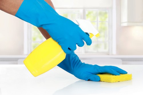 Secure Cleaners Barnes payments page with card and online payment options