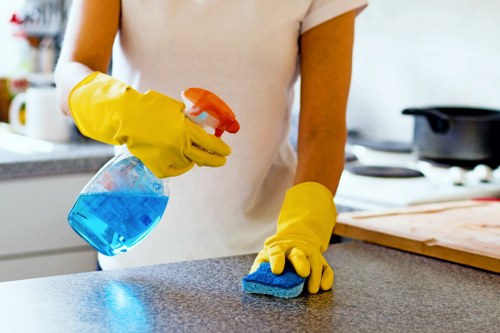 Delicate curtain fabric care and freshening service