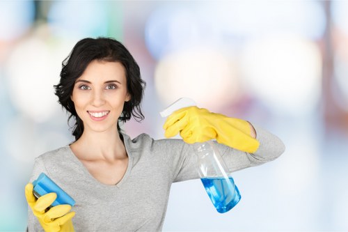 Bathroom and surface cleaning as part of a Barnes move in cleaning service