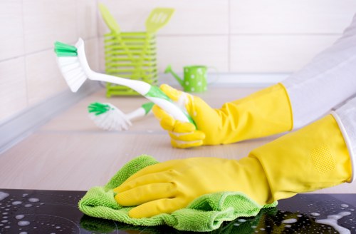 Professional deep cleaning for Barnes commercial spaces