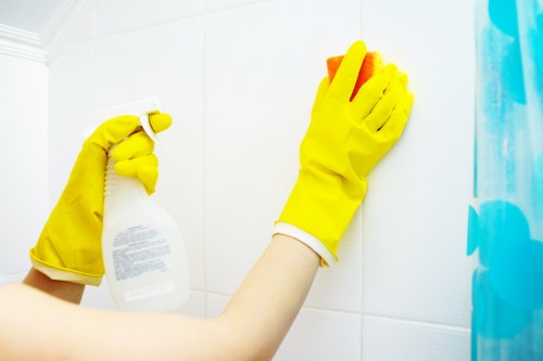 Inclusive accessibility commitment for cleaning services in Barnes