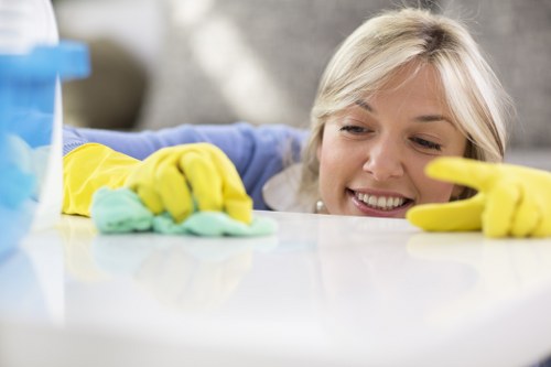 Detailed bathroom and kitchen deep clean in Barnes