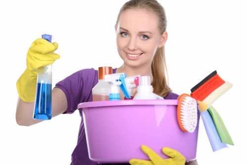 Professional hot water extraction cleaning for a carpeted room in Barnes